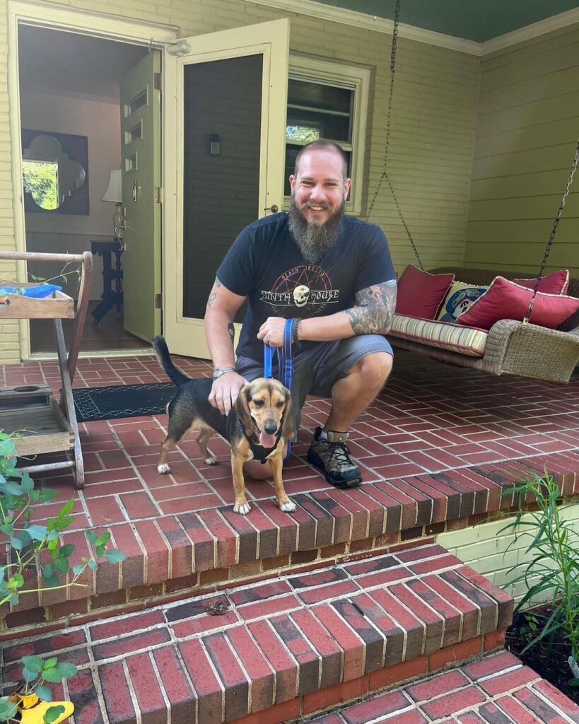 Beagle hunting dog posing with owner