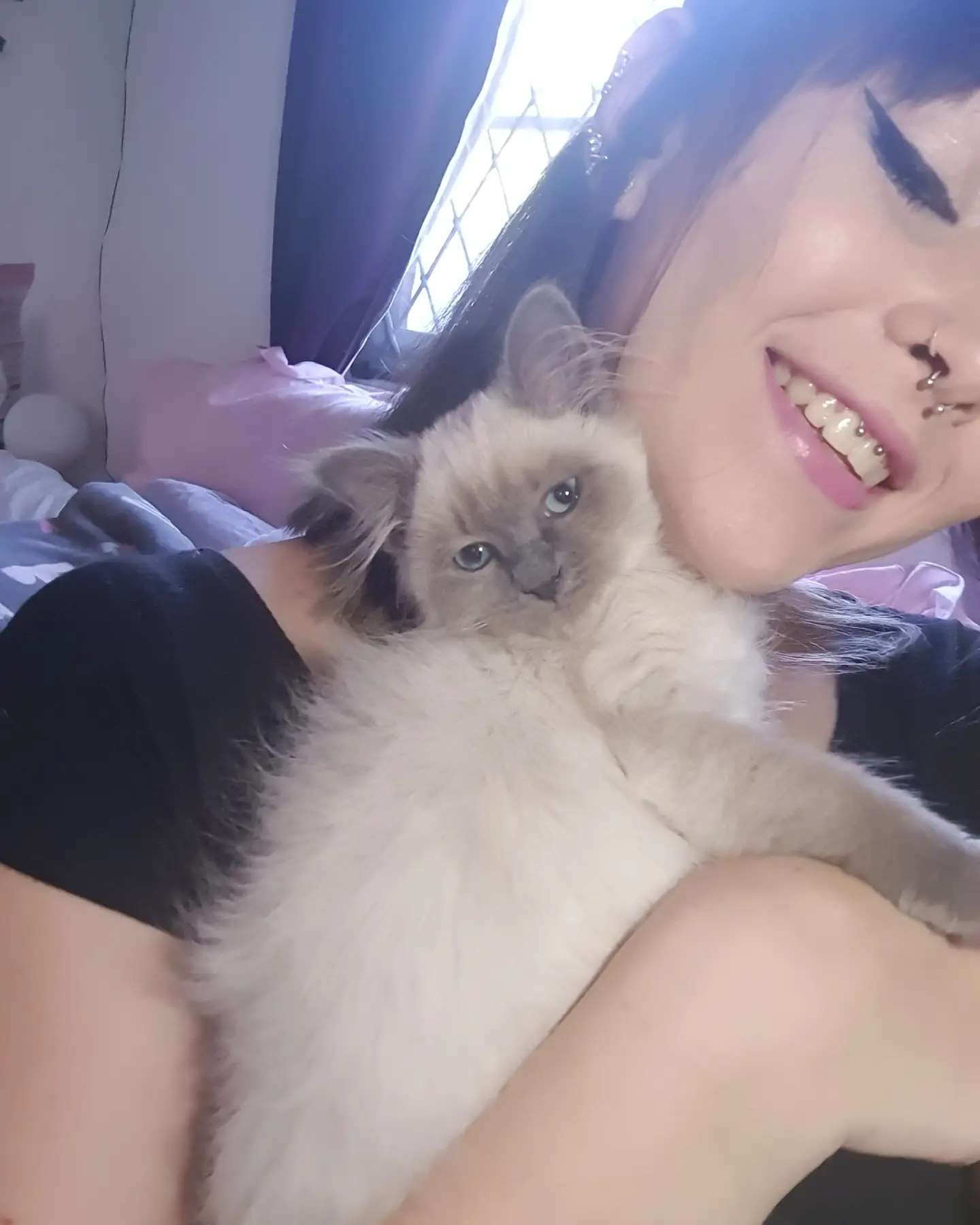 Happy client with her Ragdoll Kitten from our cattery